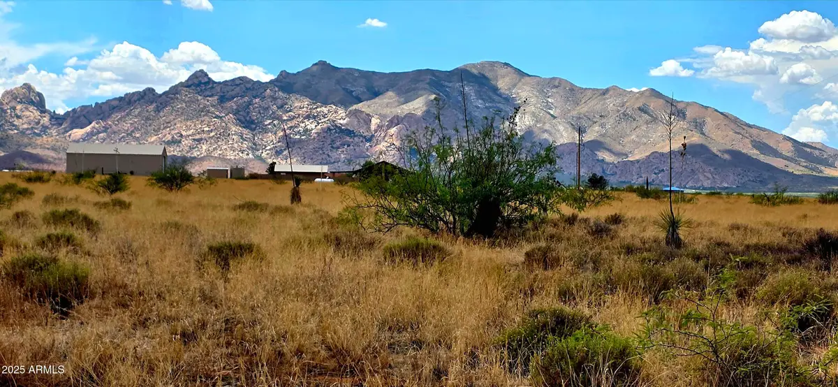 Lot 1 Willcox Road #1, Pearce, AZ 85625 - Image #1