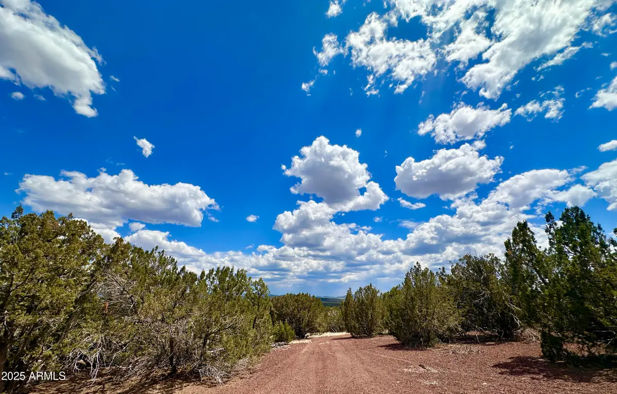 TBD County Rd N8157 --, Concho, AZ 85924 - Image #1