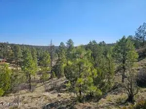 3326 Black Canyon Road, Heber, AZ 85928 - Image #2