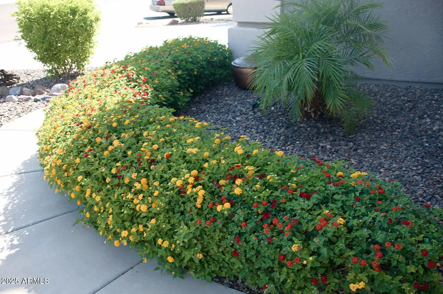 2074 E 37th Avenue, Apache Junction, AZ 85119 - Image #3