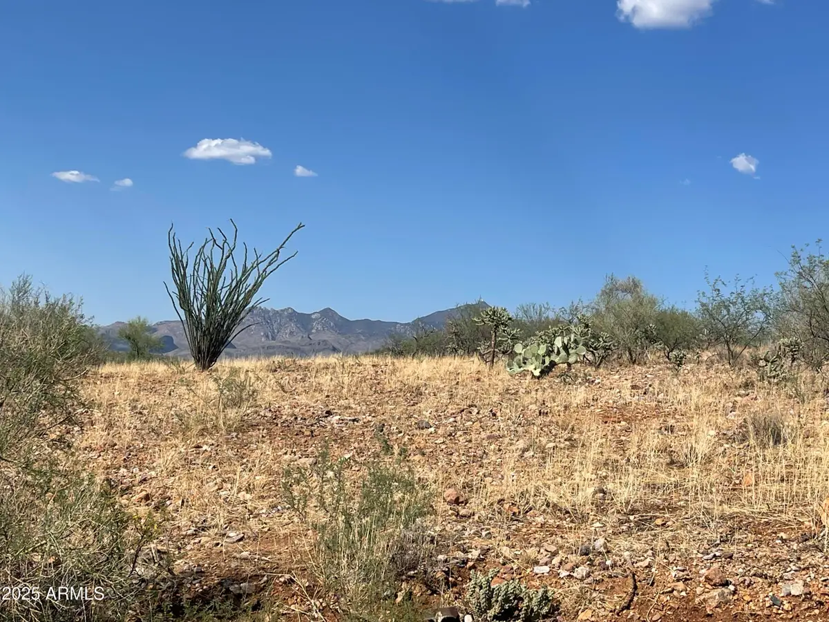 52 Calle Dinamarca -- #21, Rio Rico, AZ 85648 - #1