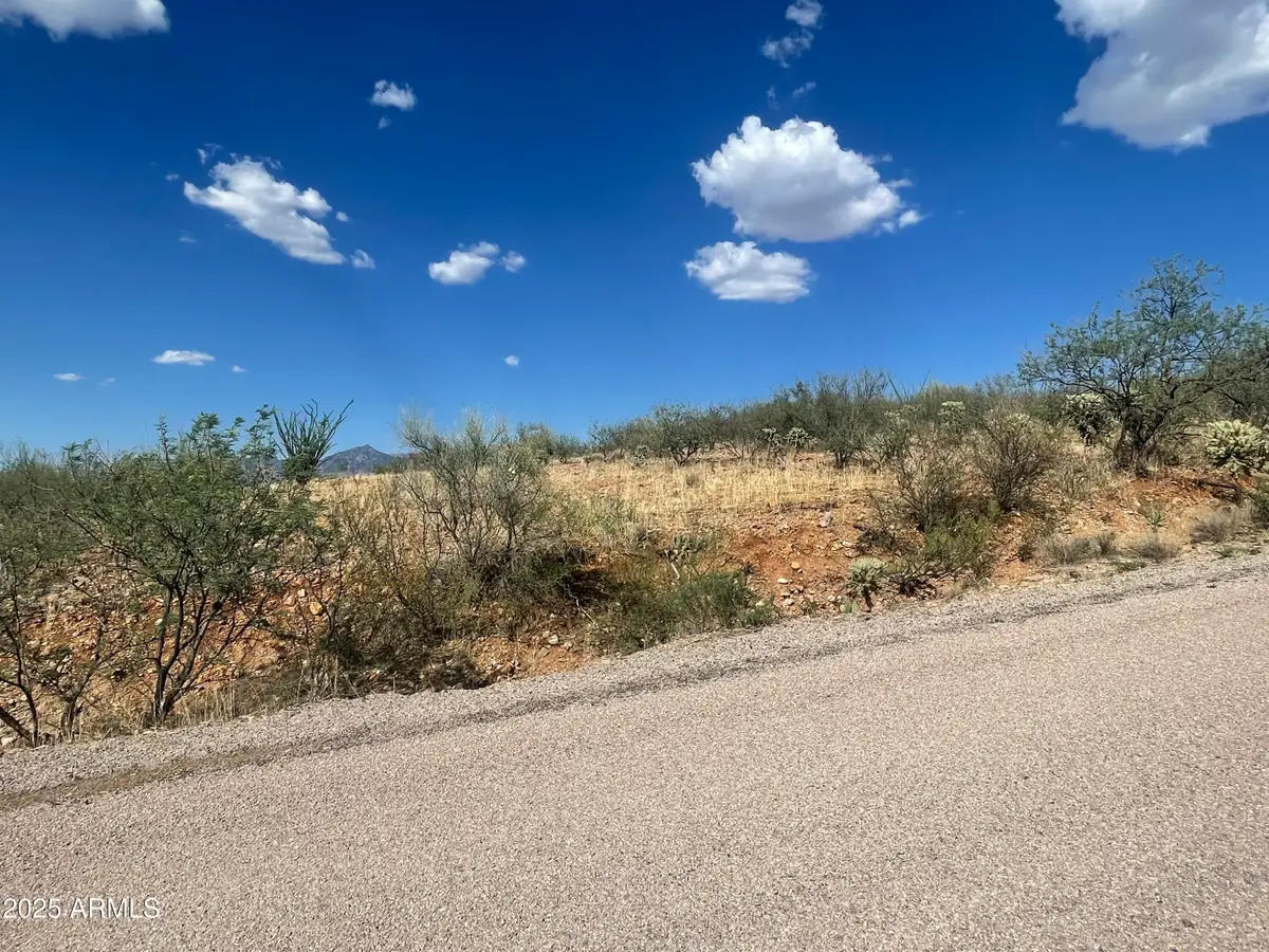 50 Calle Dinamarca -- #20, Rio Rico, AZ 85648 - #1