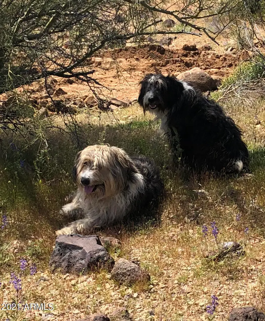 0000 S Scenic Loop Road #8, Wickenburg, AZ 85390 - Image #2