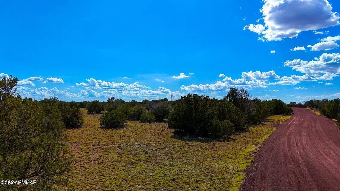 8730 Coronado Drive, White Mountain Lake, AZ 85901 - Image #1