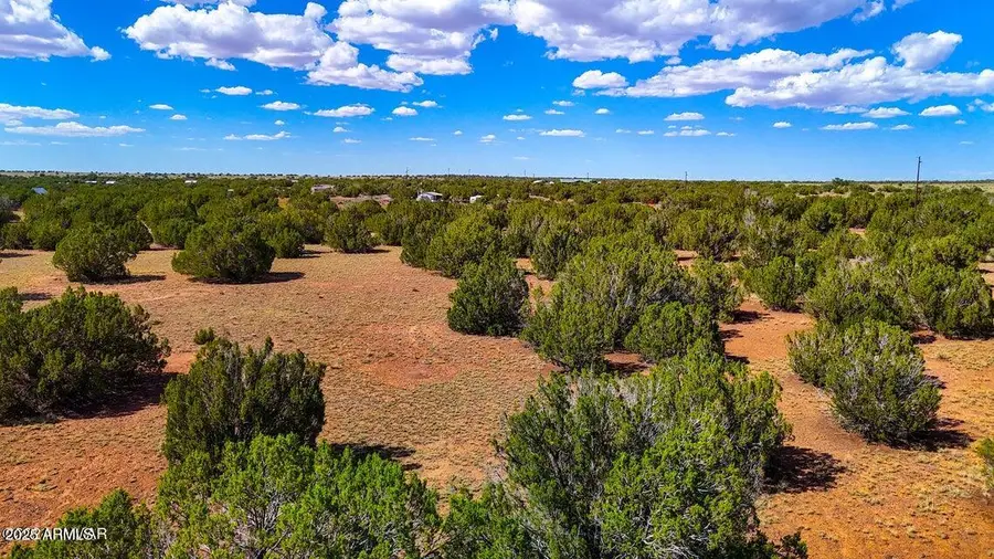 8730 Coronado Drive, White Mountain Lake, AZ 85901 - Image #3