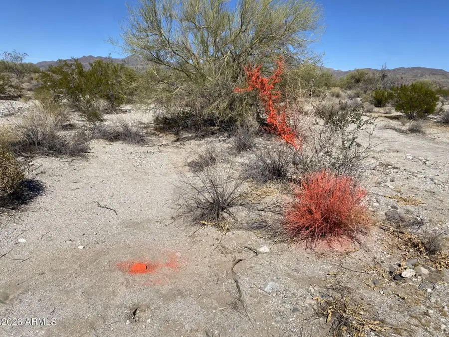 268XX W Campbell Avenue, Buckeye, AZ 85396 - #2