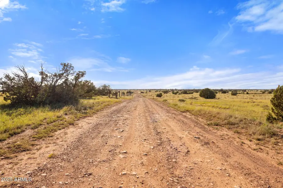 1770 Silver Bear Lane #12, Valle, AZ 86046 - Image #3