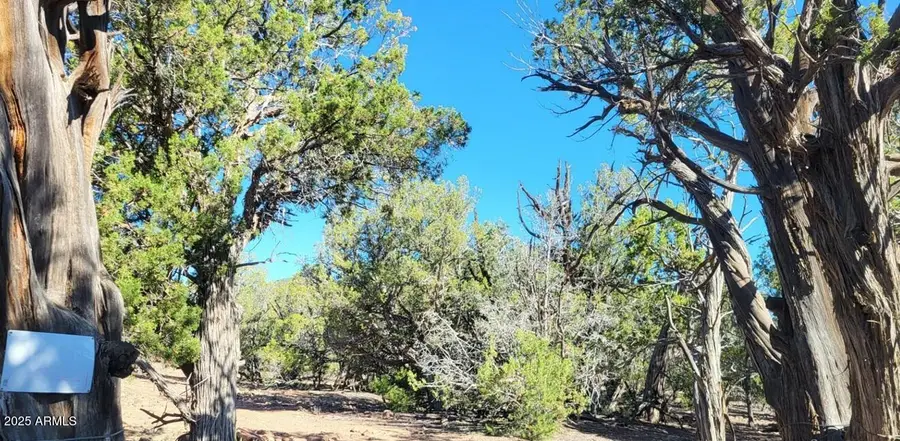 167 N Cattle Drive, Ash Fork, AZ 86046 - Image #3