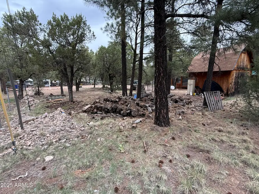 2181 Hashknife Drive #41, Heber Overgaard, AZ 85933 - Image #2