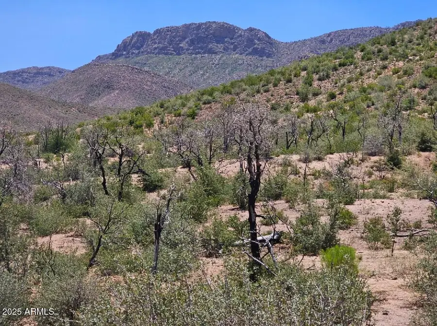 TBD S El Capitan Drive, El Capitan, AZ 85501 - Image #3