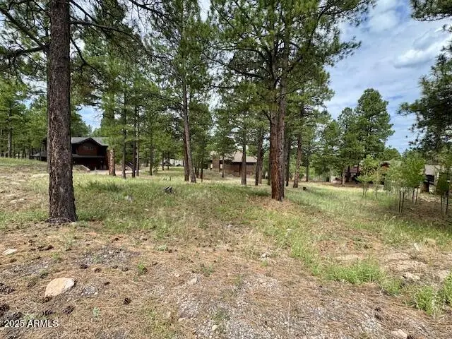1892 E Hardscrabble Court #126, Flagstaff, AZ 86005 - Image #2