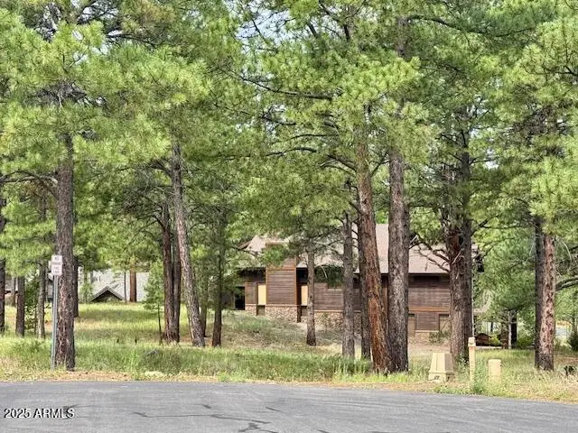 1892 E Hardscrabble Court #126, Flagstaff, AZ 86005 - Image #3