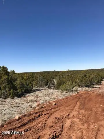 Lot 20 Idlewild Ranch #20, Concho, AZ 85924 - Image #3