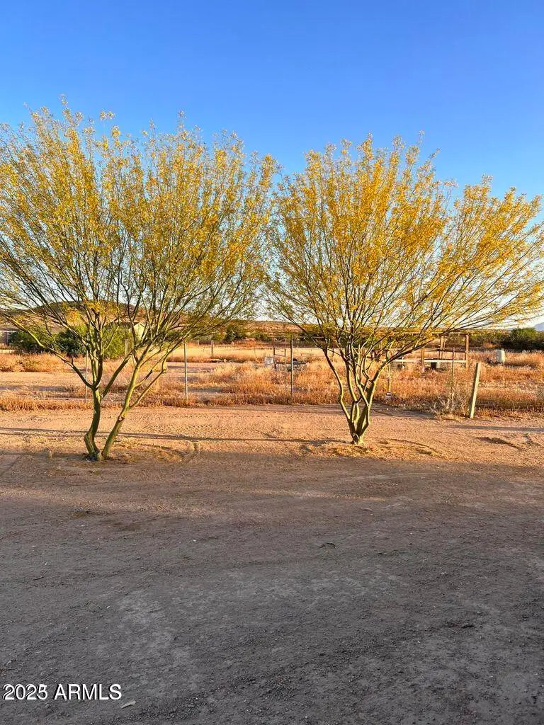 9432 S 325th Avenue, Buckeye, AZ 85396 - Image #2