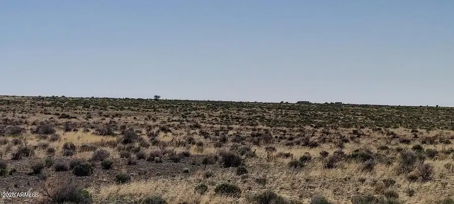 6232 S Prairie Grass Lane #294, Valle, AZ 86046 - Image #3