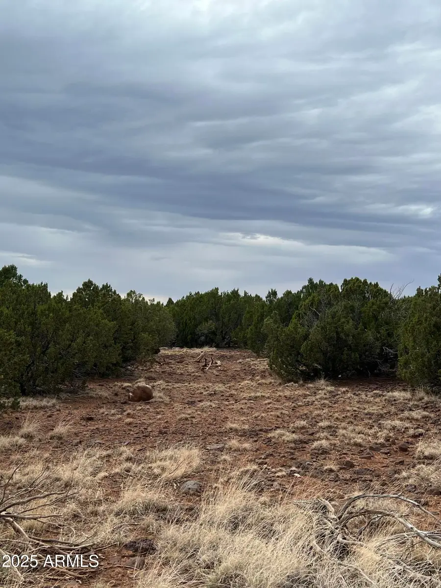 8766 Clark Road, Show Low, AZ 85901 - Image #3