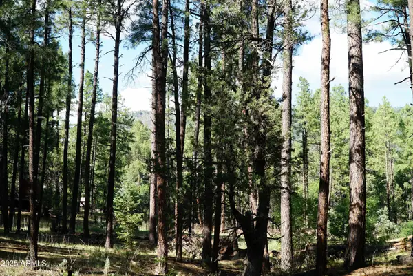 196 W Mockingbird Lane #Parcel 2, Payson, AZ 85541