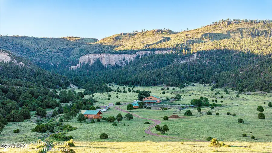 41451 Hwy 180 --, Eagar Springerville, AZ 85932 - Image #3