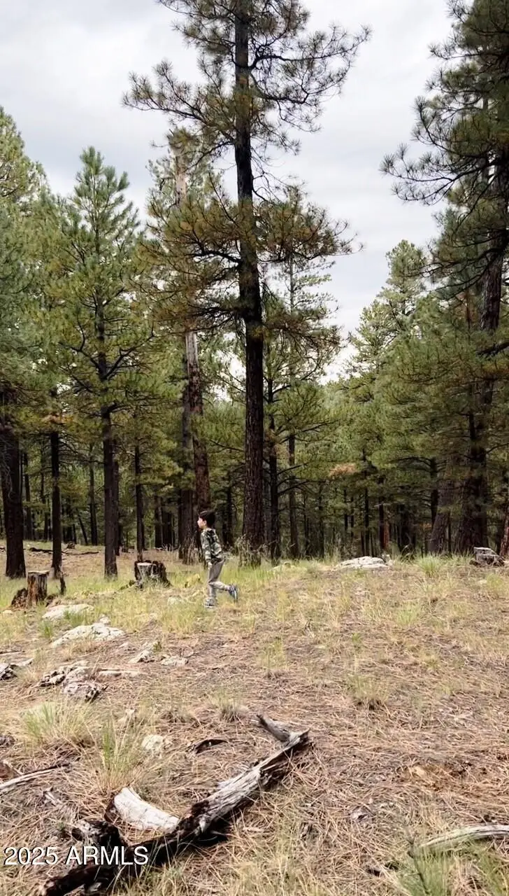 5131 Forest Service Road 137a Road #Prcl40375003B A & B, Happy Jack, AZ 86024 - Image #2