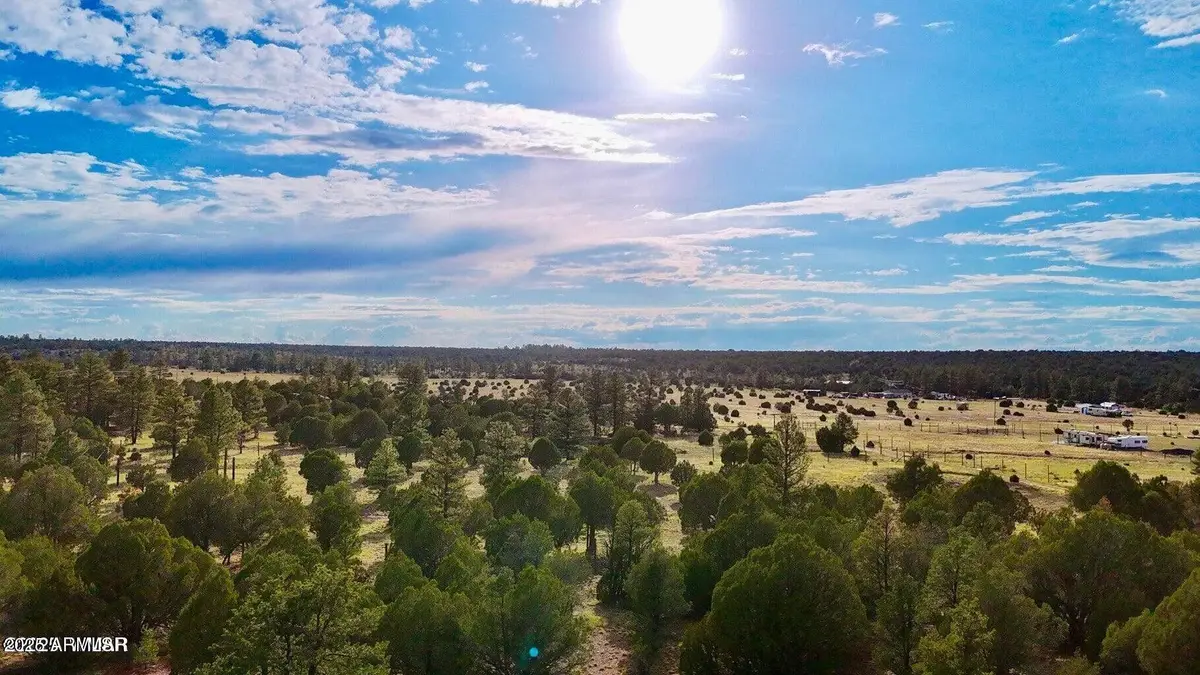 TBD Flake Rd Lots N & K 2.54 Acres --, Overgaard, AZ 85933 - Image #1