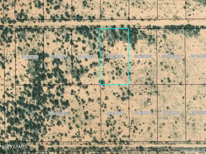 1400 appx E Tamarack Road, Bowie, AZ 85605 - Image #1