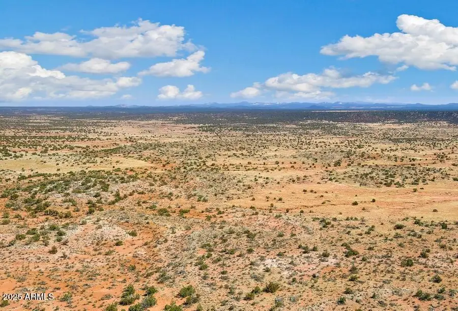 8580 Phillip Lane, Snowflake, AZ 85937 - Image #3