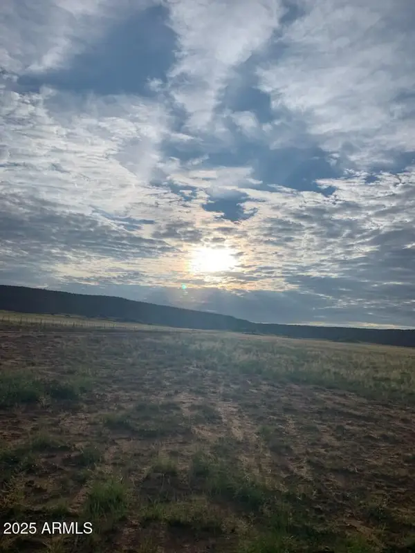 TBD 41 Acres -- #25, St Johns, AZ 85936