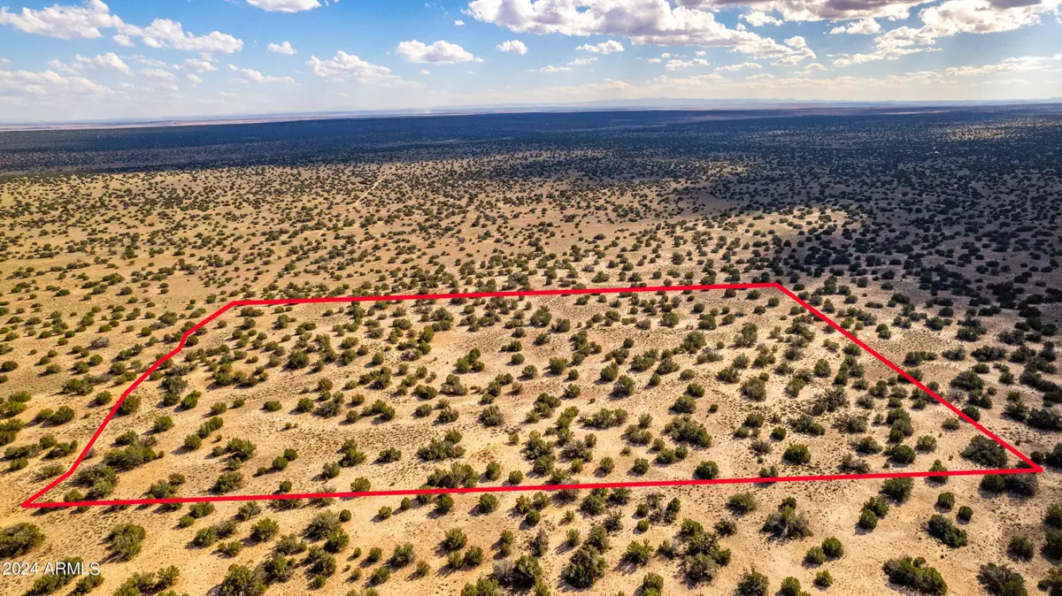 XX00 N N7204 --, Puerco, AZ 85936 - Image #1