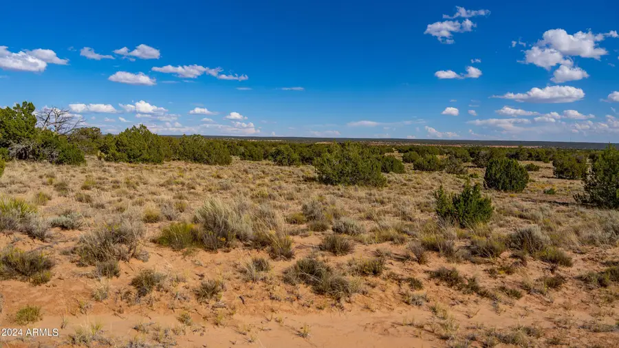 XX00 N N7204 --, Puerco, AZ 85936 - Image #3