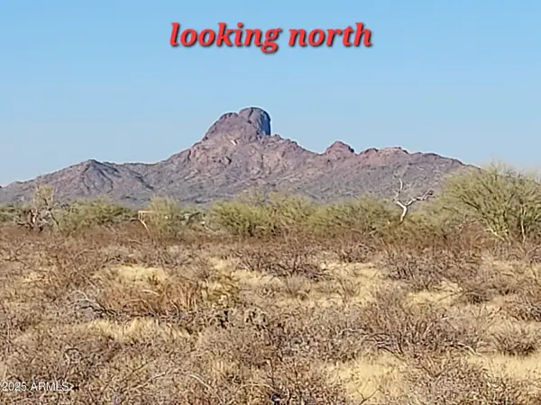 XX00 W Villa Cassandra Way #203, Wittmann, AZ 85361