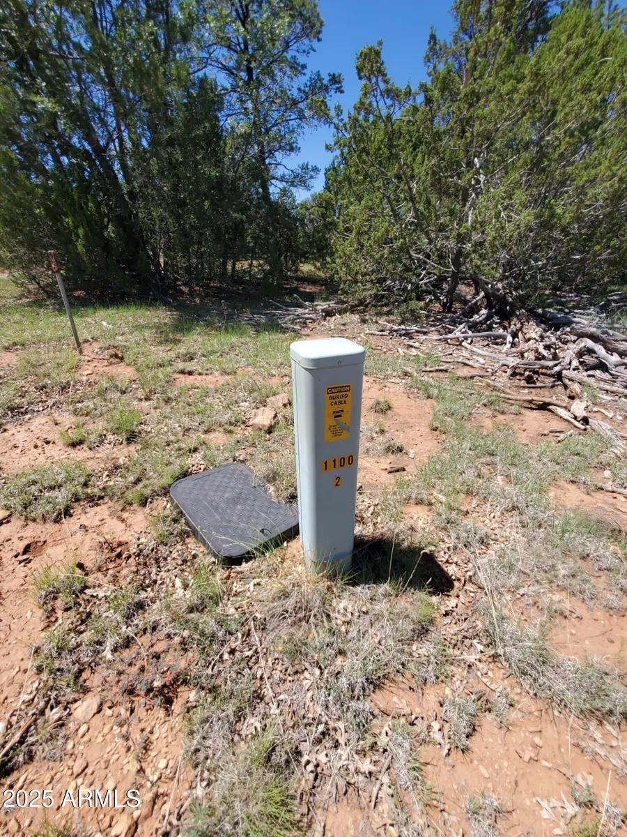 8571 Haven Crest Drive #229, Blue Ridge, AZ 86024 - Image #3