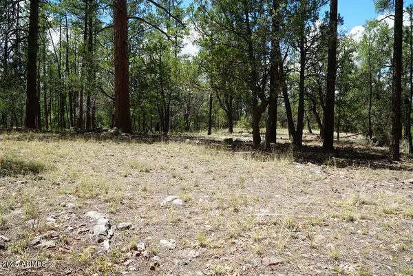 283 S Lookout Trail #44, Payson, AZ 85541