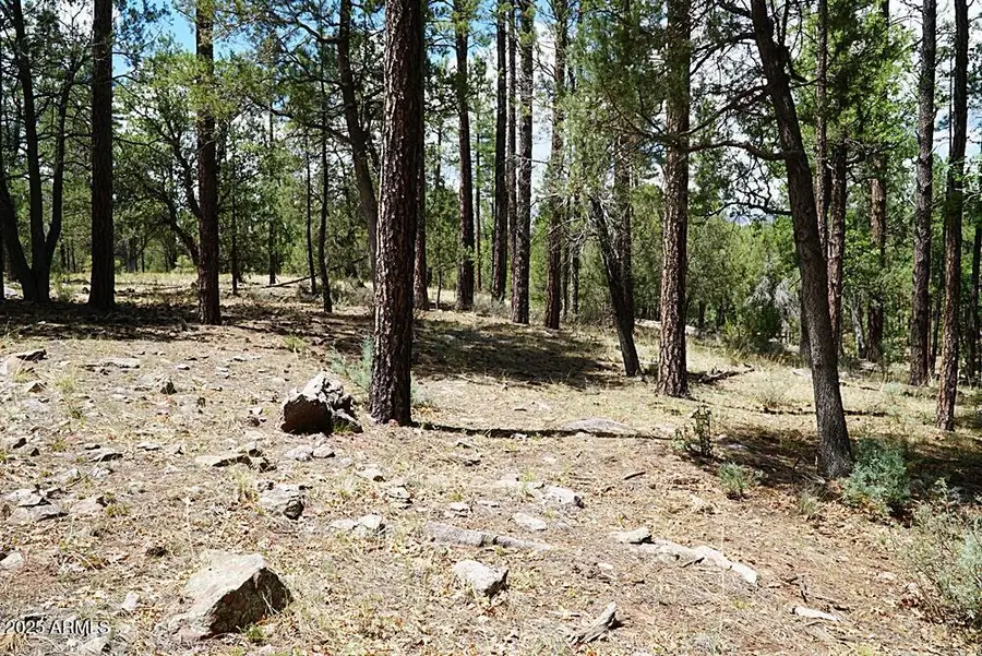 283 S Lookout Trail #44, Payson, AZ 85541 - Image #2