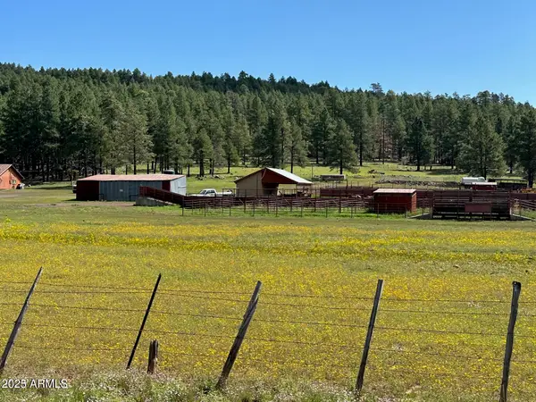 17xx4 E Forest Service 772 Lane, Munds Park, AZ 86017