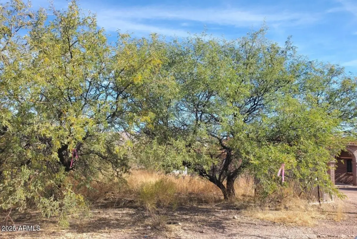 586 Judit Court #74, Rio Rico, AZ 85648 - #1