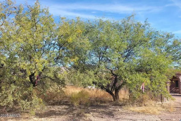 586 Judit Court #74, Rio Rico, AZ 85648