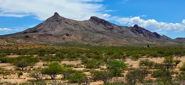 N Bruno Road, Douglas, AZ 85607