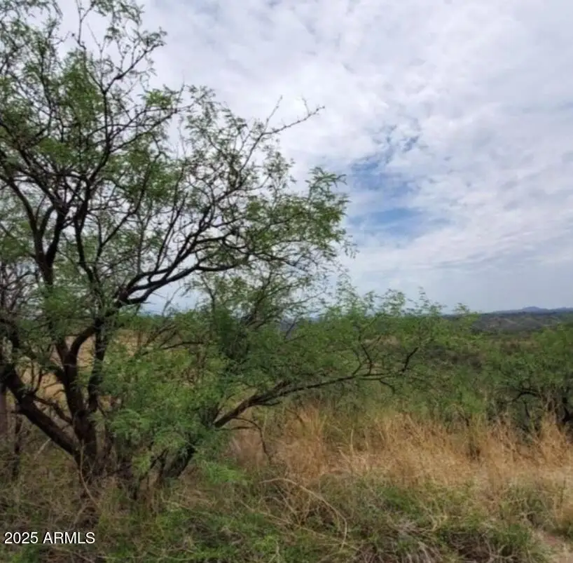 580 Cave Lane #49, Rio Rico, AZ 85648 - #1