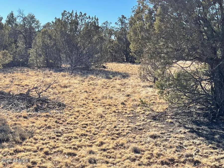 8371 Haven Crest Drive #230, Blue Ridge, AZ 86024 - Image #2