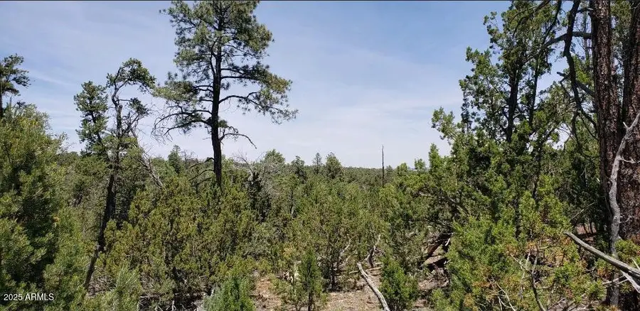 5113 Sunset Ridge Loop #187, Blue Ridge, AZ 86024 - Image #3