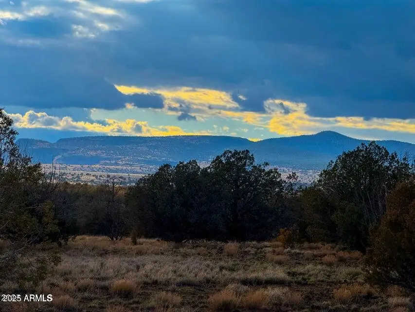 0 W Big Moon Ln. Lot C -- #14, Ash Fork, AZ 86320 - Image #2