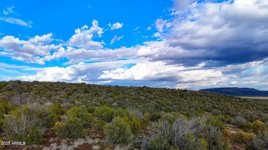 0 W Big Moon Ln. Lot C -- #14, Ash Fork, AZ 86320 - Image #3