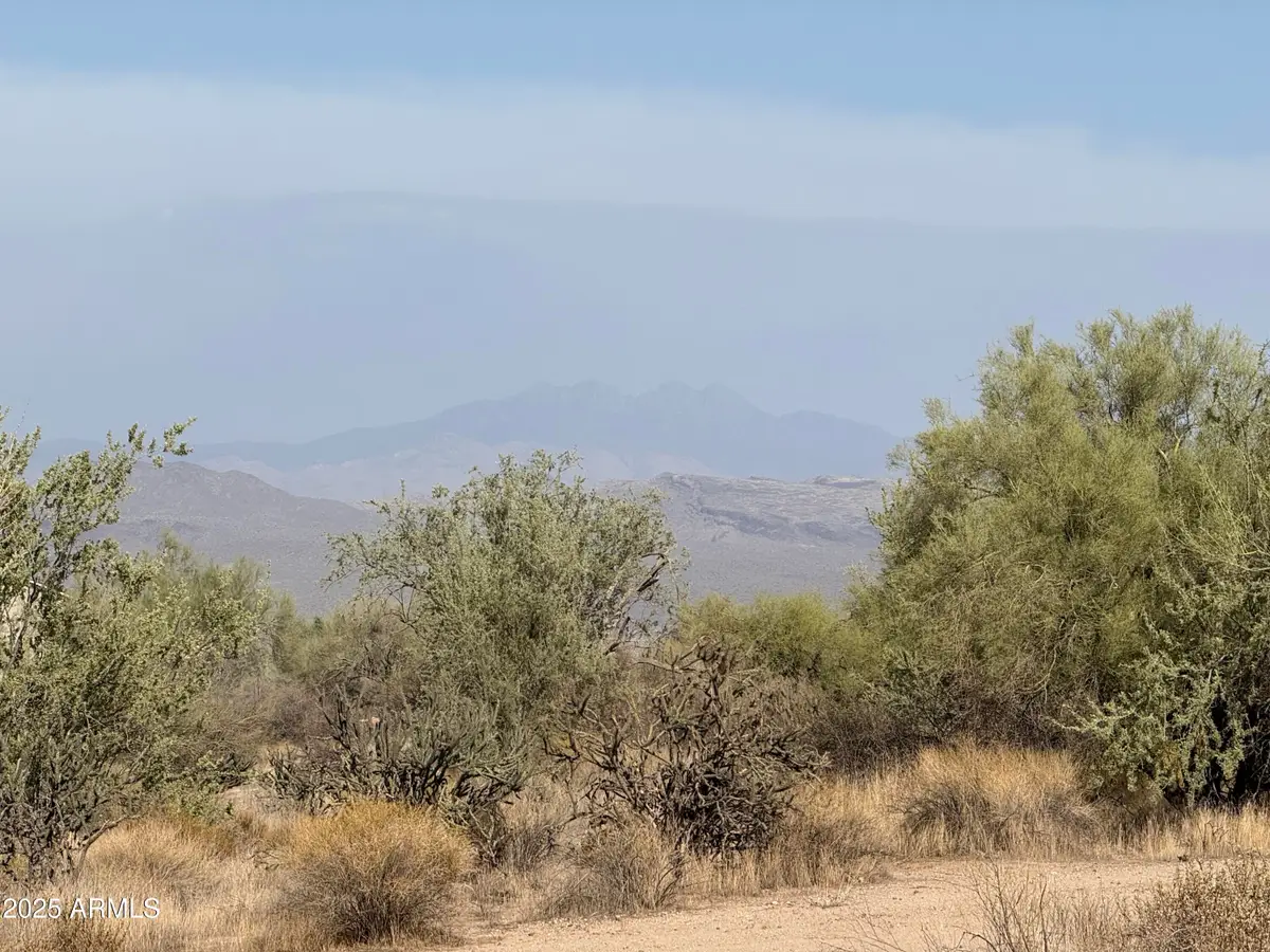 161XX E Dixileta Drive #-, Tonto National Forest, AZ 85262 - Image #1