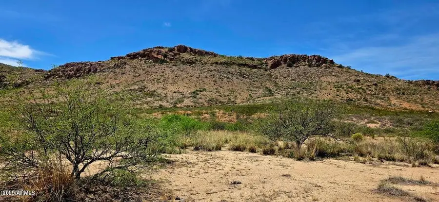 38.76 Acre N Bruno Road, Douglas, AZ 85607 - #2