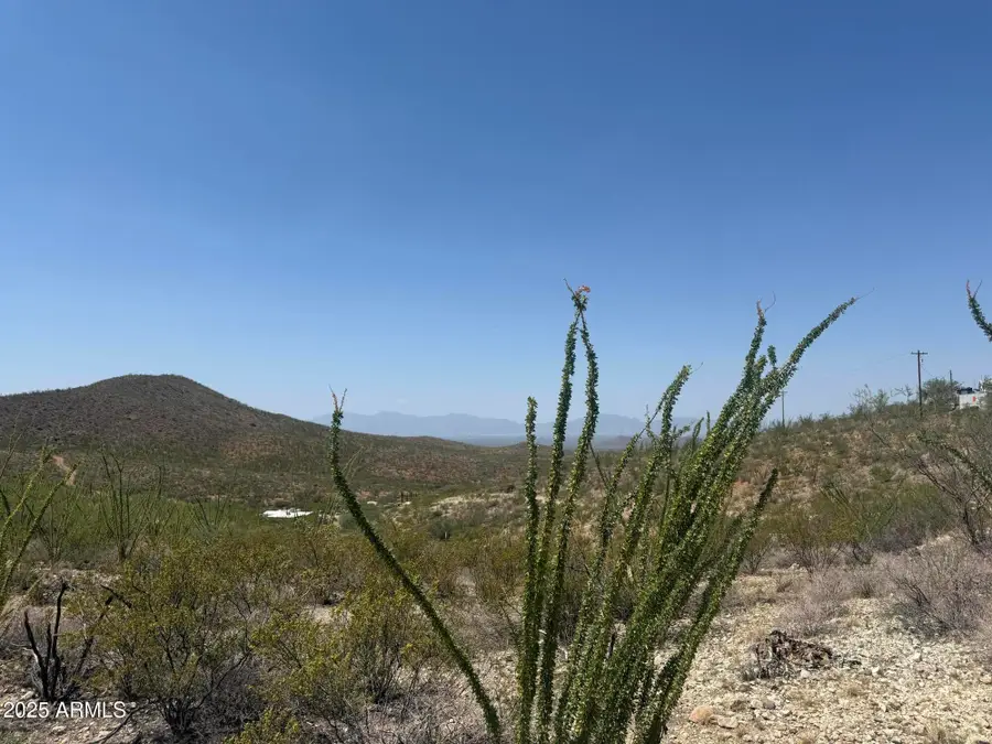 xxx S Victory Trail, Tombstone, AZ 85638 - #2