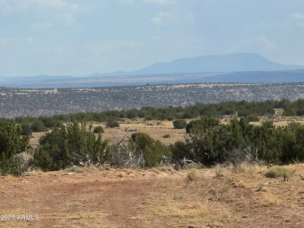 Lot 545C Woodland Valley Ranch -- #545C, St Johns, AZ 85936