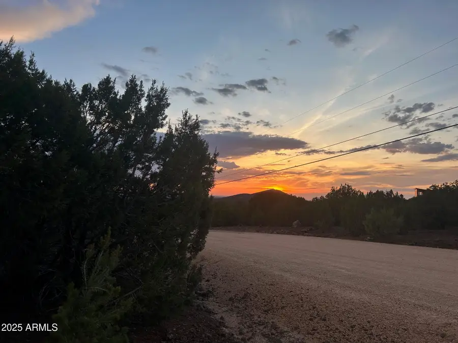 lot 11 Uphill Trail -- #11, Vernon, AZ 85940 - Image #3