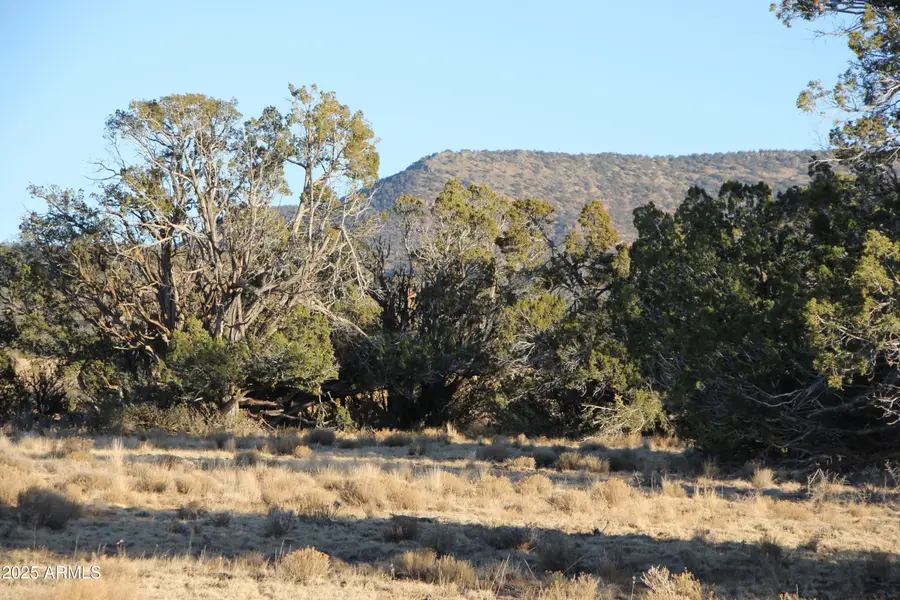 Wrangler N Wrangler Ridge Rd Road #30118203, Seligman, AZ 86337 - Image #2