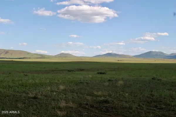 Lot 55 Concho Lakeland -- #55, Concho, AZ 85924