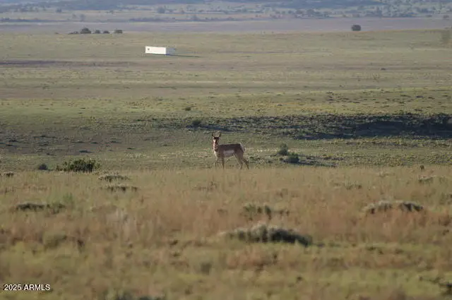 Lot 55 Concho Lakeland -- #55, Concho, AZ 85924 - Image #2